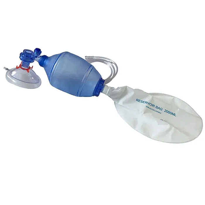 Disposable Bag Mask - Adult Large Mask in Plastic Bag